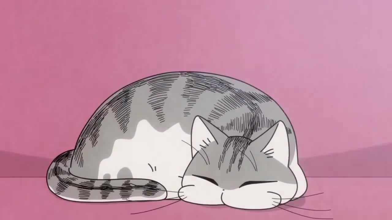 Вечера с кошкой [ТВ-2] — кадр 4