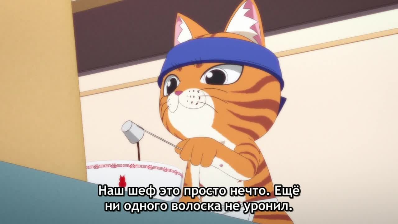 Рамэнная рыжего кота — кадр 1