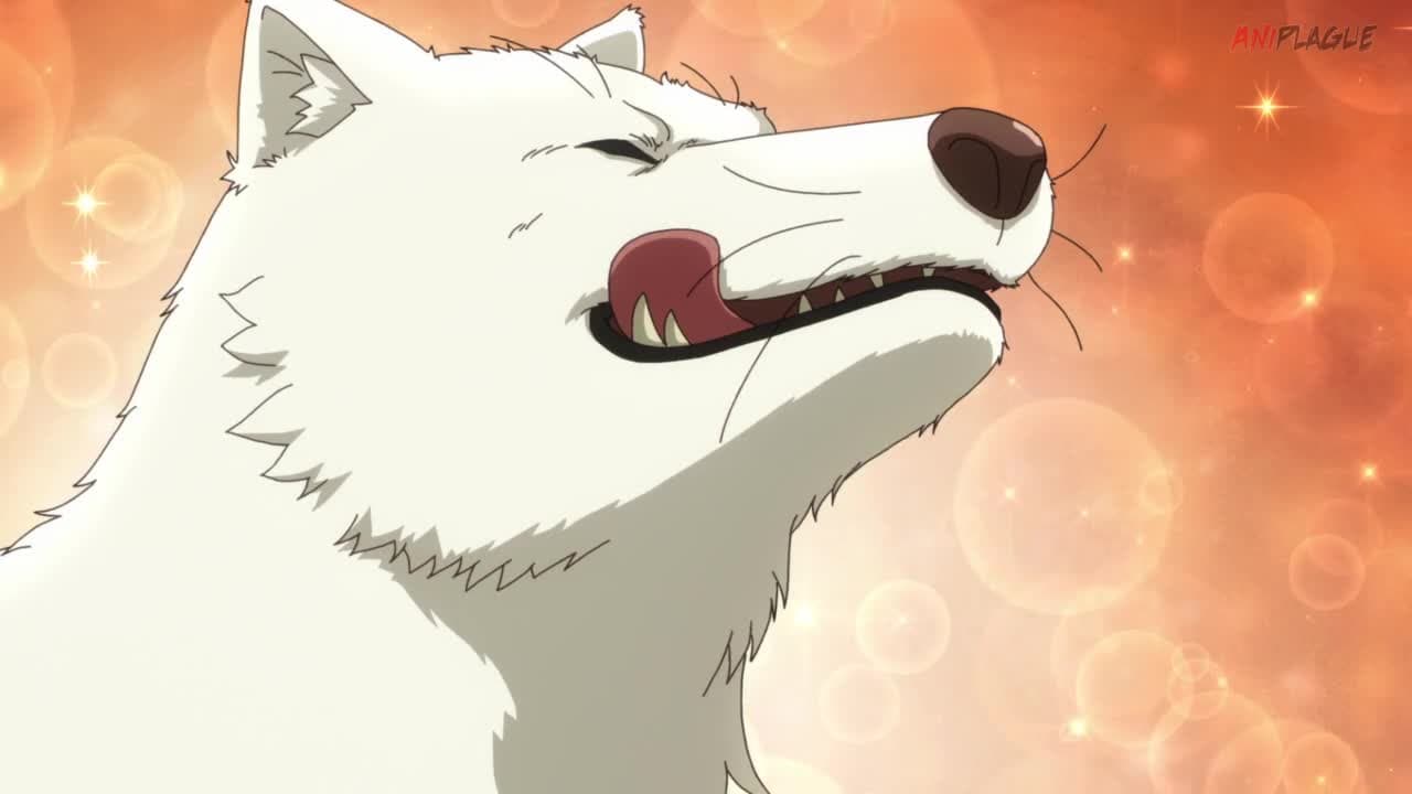Для тебя, Бессмертный [ТВ-3] — кадр 5