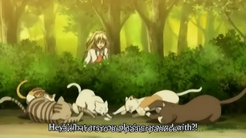 Священные звери [ТВ-2] — кадр 4