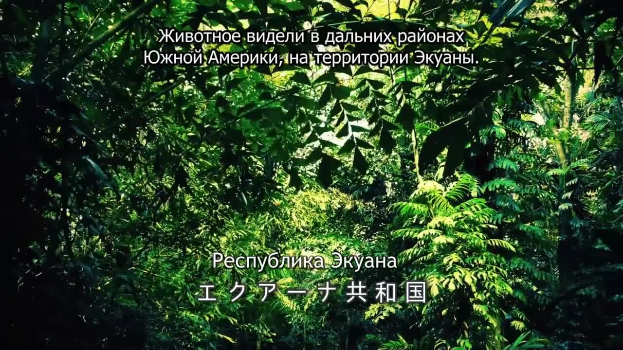 Телечудики Нанана [ТВ-1] — кадр 4