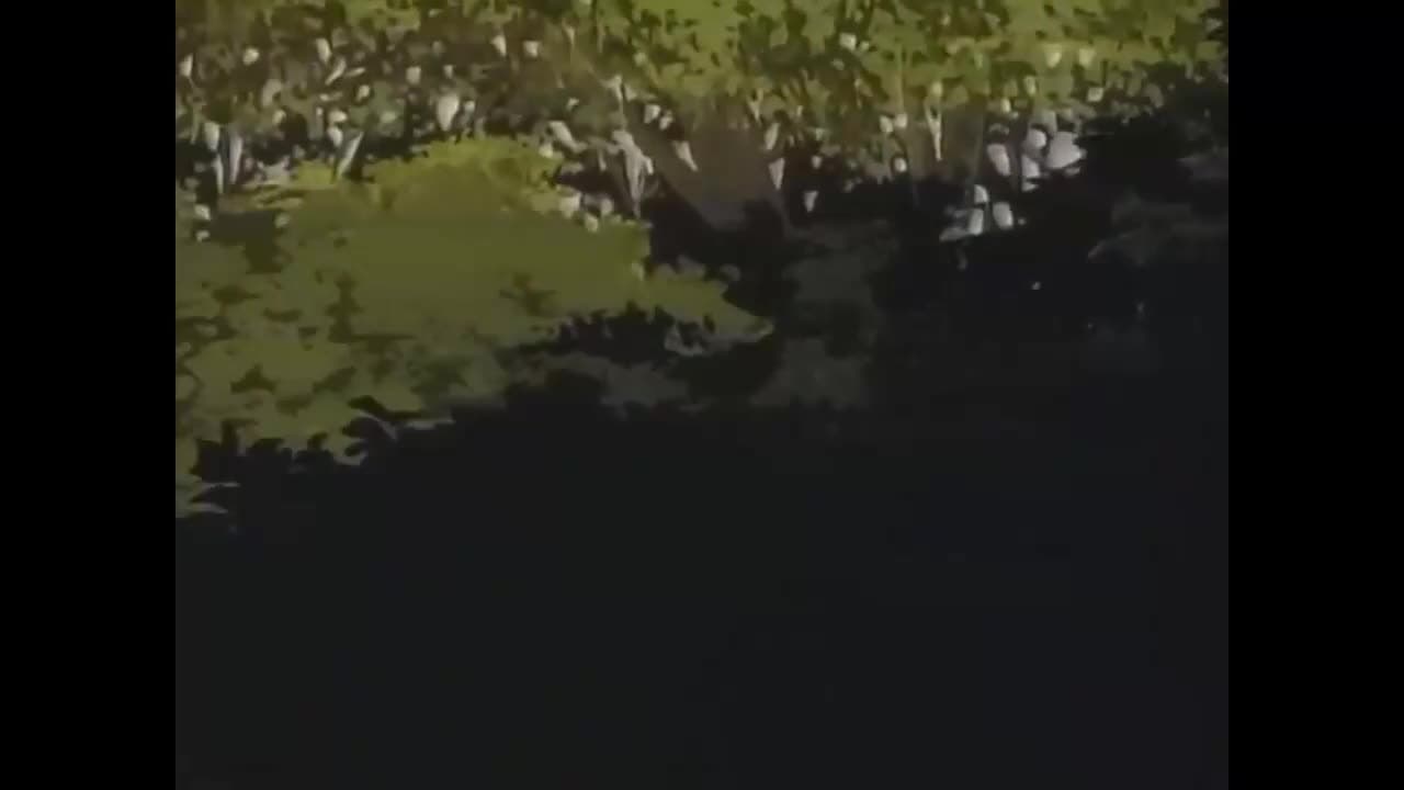 Внезапно принцесса — кадр 2